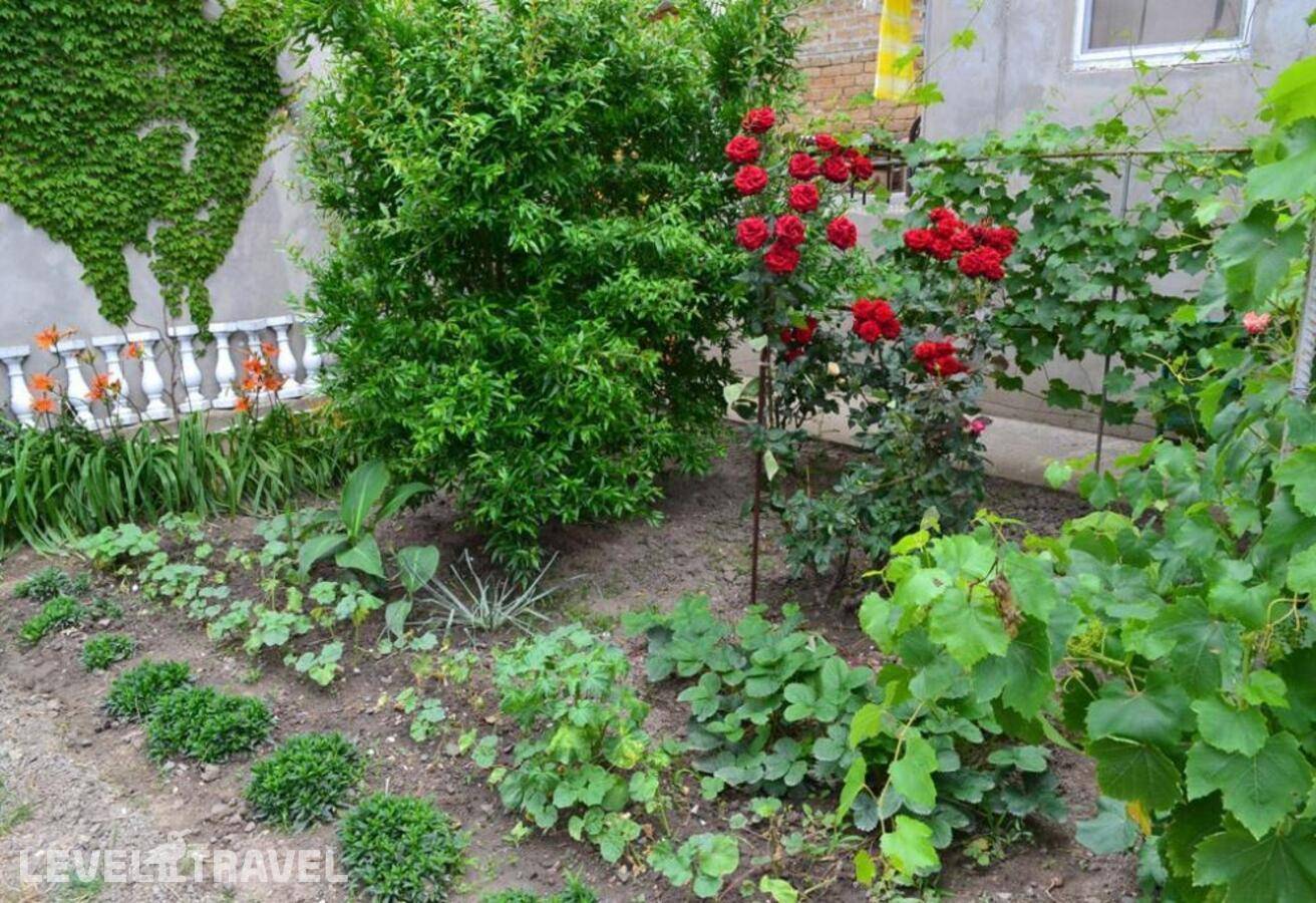 Изображение отеля 5