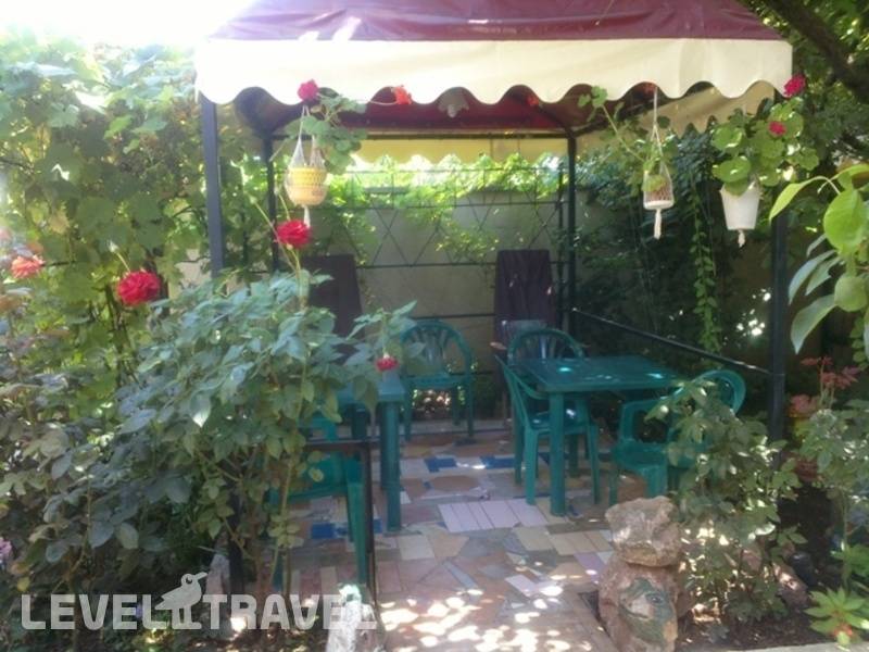 Фотография ГД Ассоль