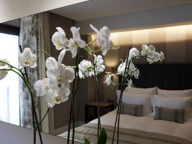 The Y Hotel