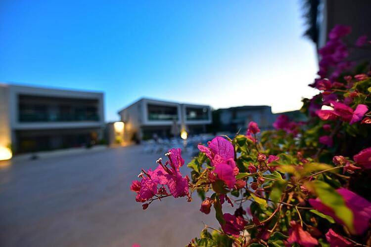 Jasmin Elite Residence