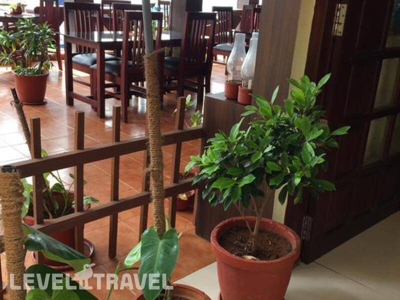 Фотография The Ocean Park Beach Resort Фотография The Ocean Park Beach Resort