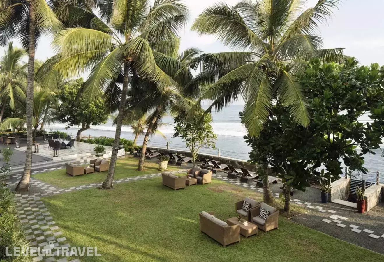 Owl And The Pussycat