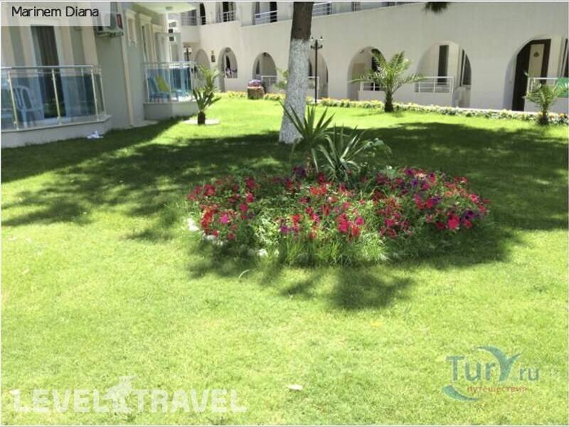 Фотография Marinem Diana Hotel