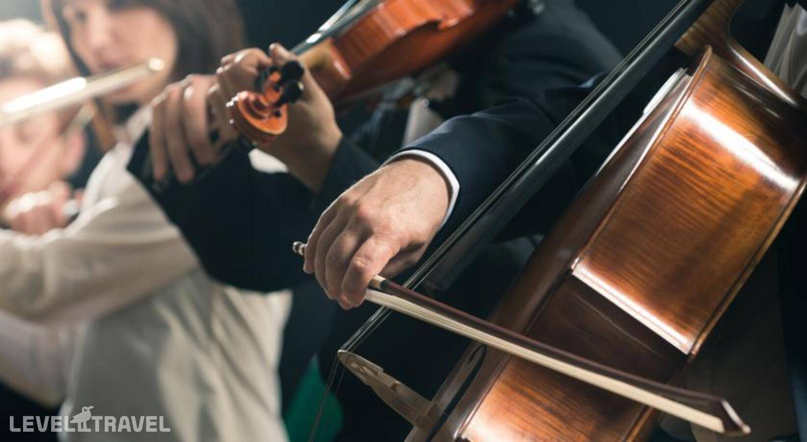 Изображение отеля 49