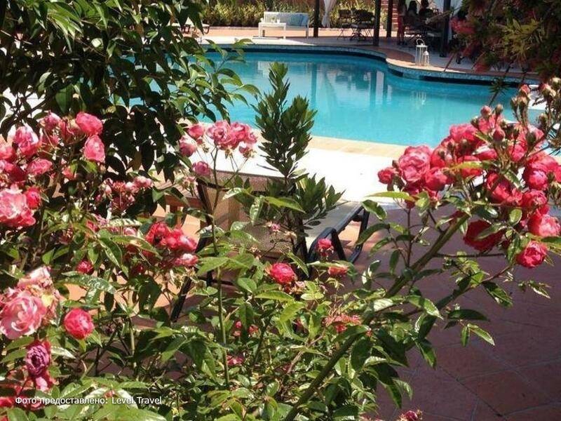 Фотография Eden Hotel