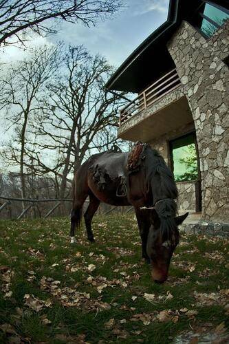 Dilijan Park Resort & Villas