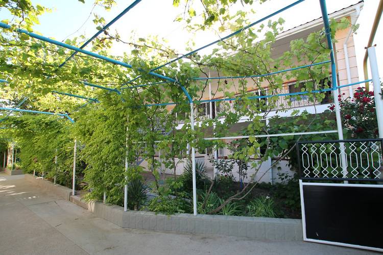 ГД У Дяди Васи