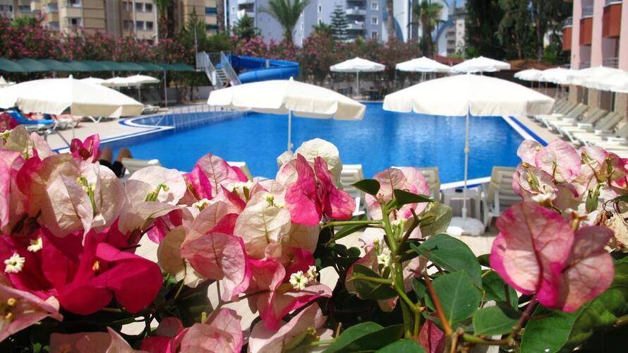 Simply Fine Hotel Alize