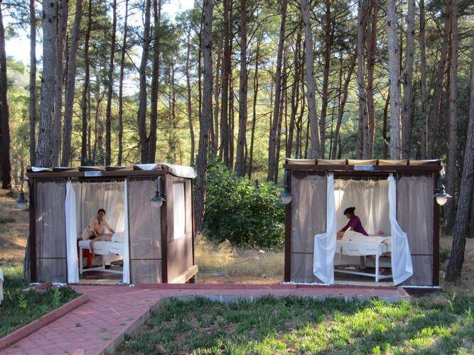 Green Forest Holiday Village