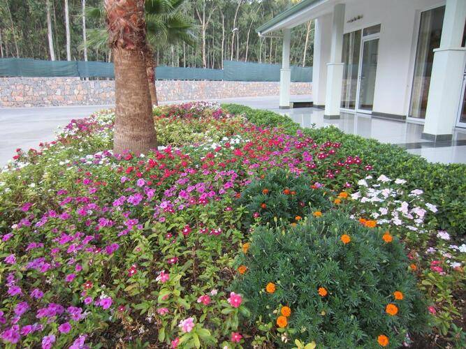 Green Forest Holiday Village