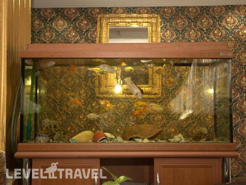 Фотография Aquarium Hotel Istanbul Фотография Aquarium Hotel Istanbul