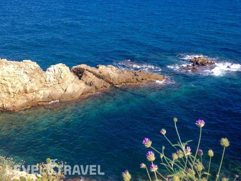 Фотография Pierre & Vacances Blanes Playa