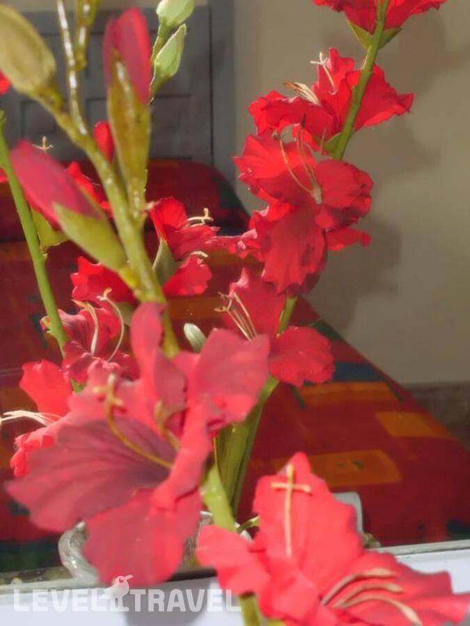 Изображение отеля 12