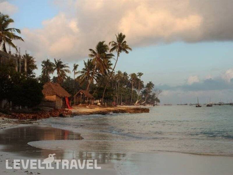 Фотография Aluna Beach Lodge (Adults Only 18+)