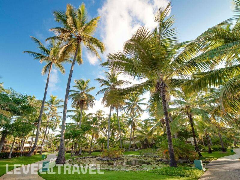 Фотография Melia Punta Cana Beach Resort (Adults Only 18+)