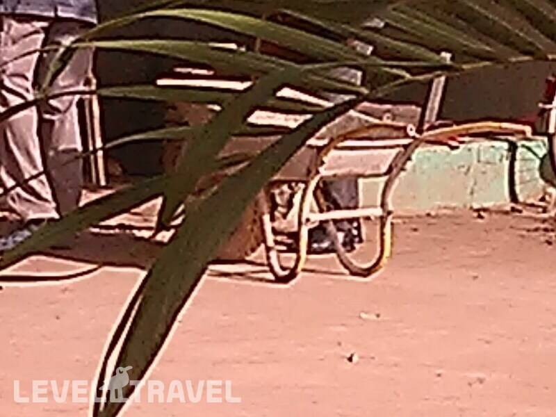 Фотография Baobab Holiday Resort