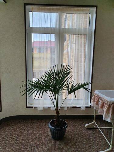Отель Восток