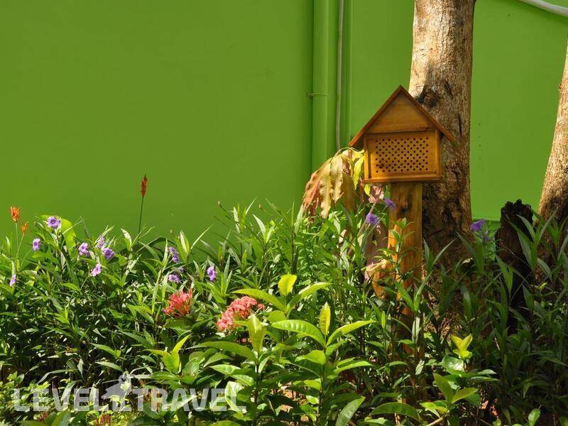Фотография Bamboo Phu Quoc Resort (Ex.Mango Resort)