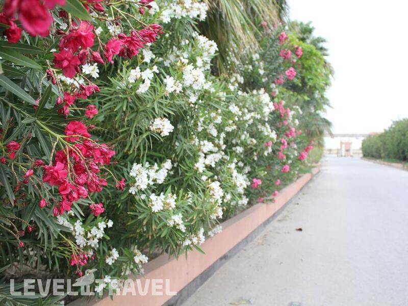 Фотография Bahrain Beach Resort