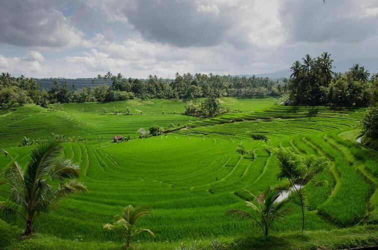 Plataran Canggu Bali