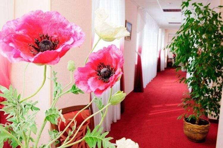 Славяновский Исток Апарт-Отель