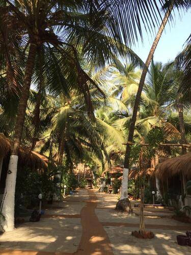 Stone Wood Resort & Spa