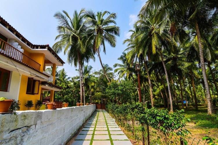 Meadows View Resort