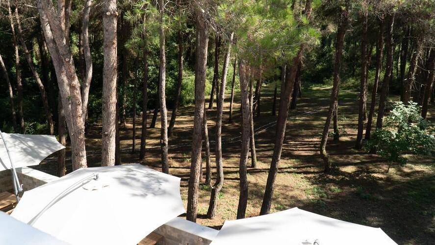 Pitsund Cat Hotel