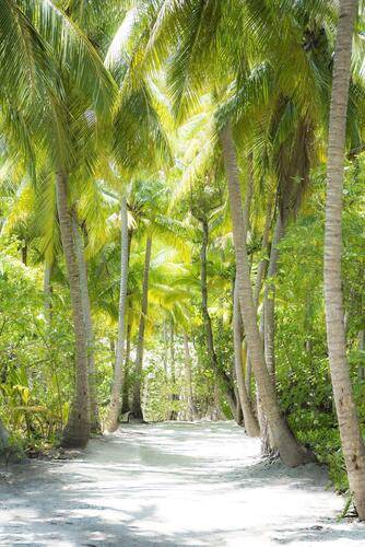 Vakkaru Maldives