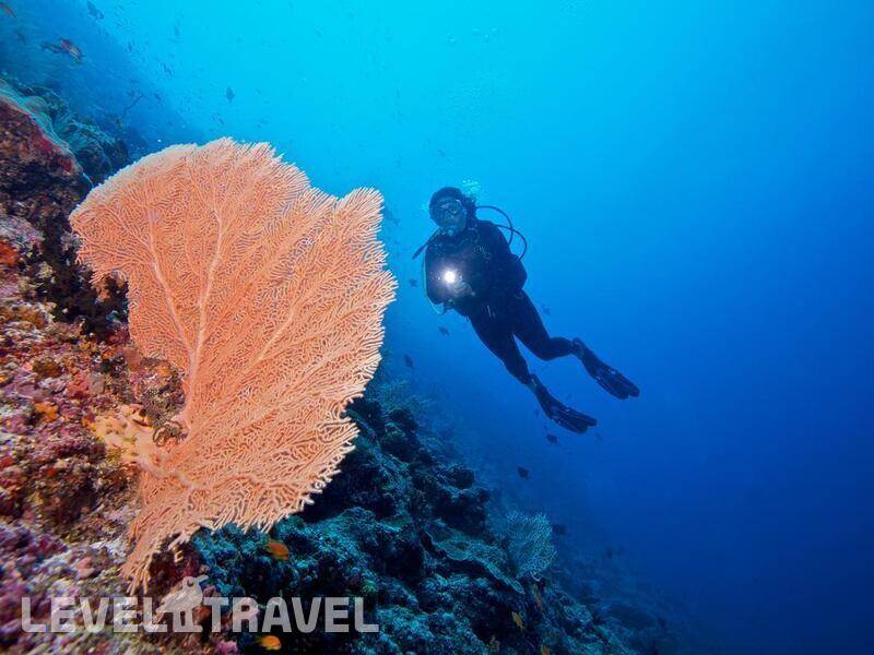 Фотография Innahura Maldives Resort