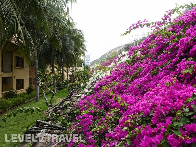 Фотография Hon Rom Central Beach Resort