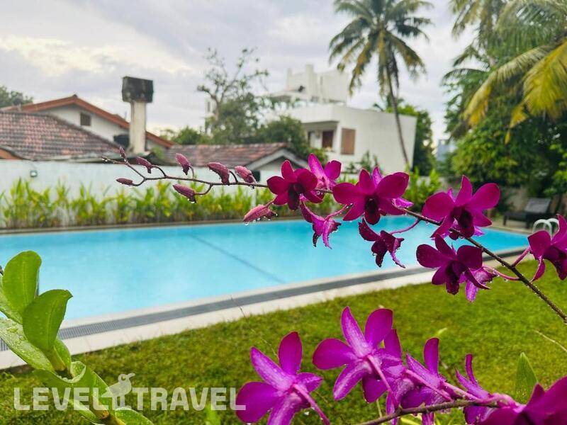 Фотография Star Holidays Resort Фотография Star Holidays Resort