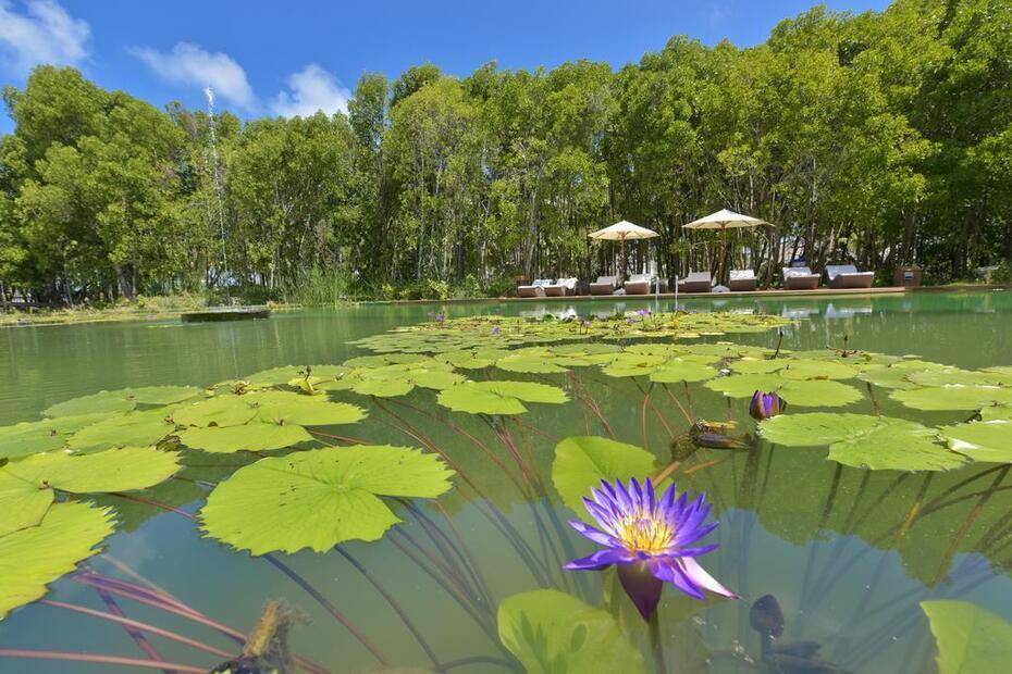 Dreamland - The Unique Sea & Lake Resort