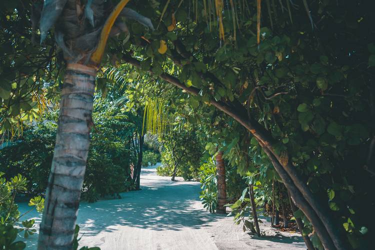 Kuredhivaru Resort And Spa (Ex. Movenpick Resort Kuredhivaru Maldives)