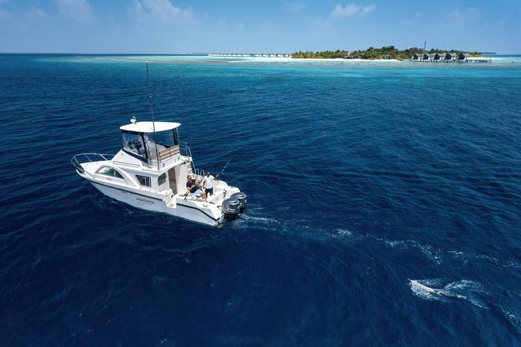 Kuredhivaru Resort And Spa (Ex. Movenpick Resort Kuredhivaru Maldives)