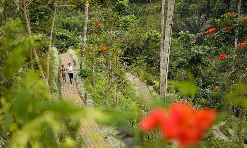 Padma Resort Ubud