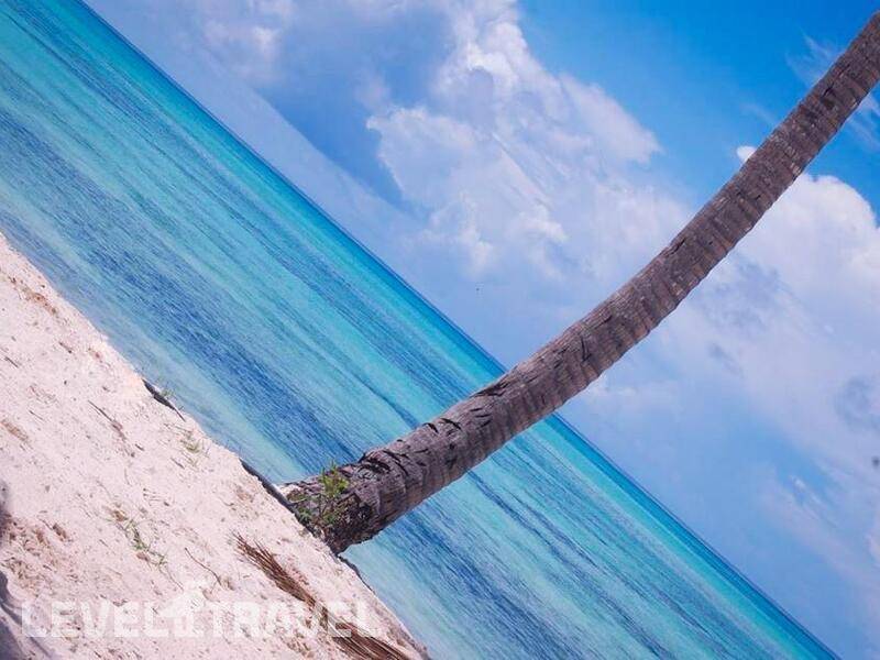 Фотография Hotel Blue Moon Resort