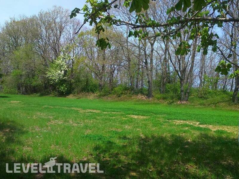 Фотография Морские Дюны (Детский Лагерь)