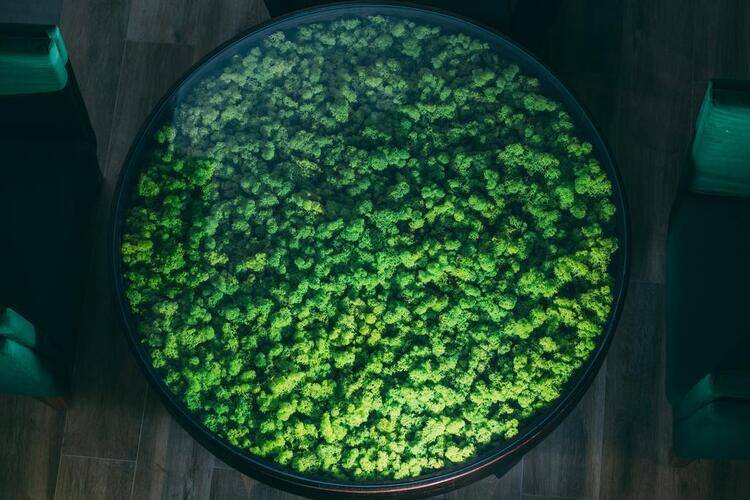 Green Resort Hotel & Spa