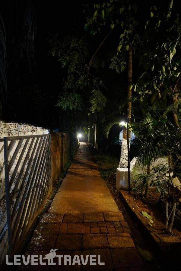 фотографии отеля Casa De Arambol в Индия(Арамболь) - фото №26