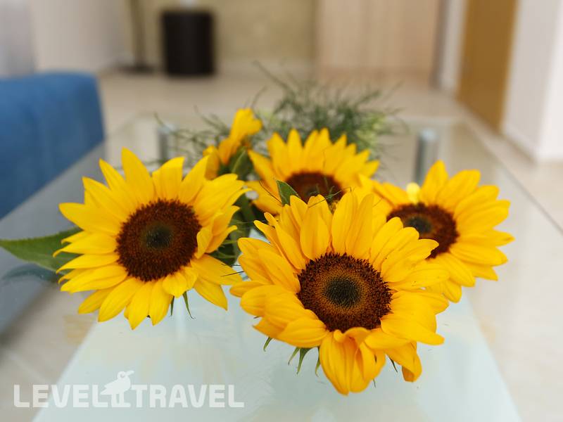 Фотография Sunrise Gardens