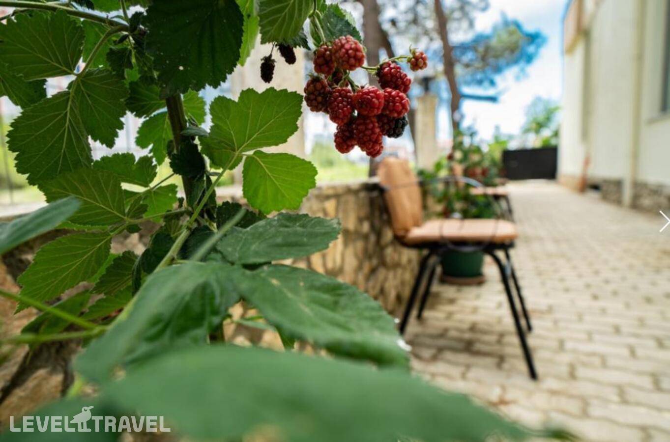 Изображение отеля 33