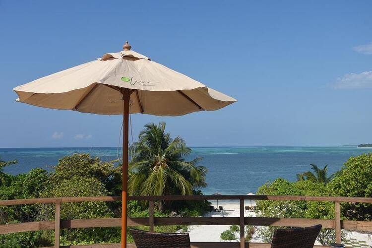 Olive Goidhoo Guest House