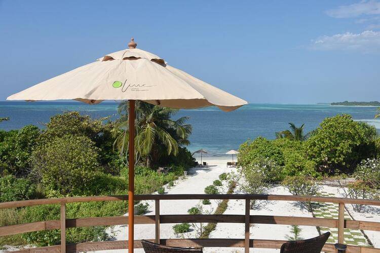 Olive Goidhoo Guest House