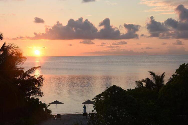 Olive Goidhoo Guest House
