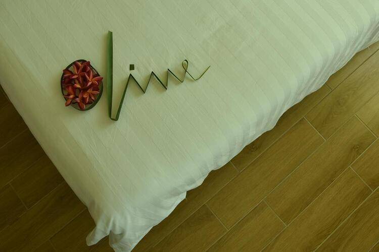Olive Goidhoo Guest House