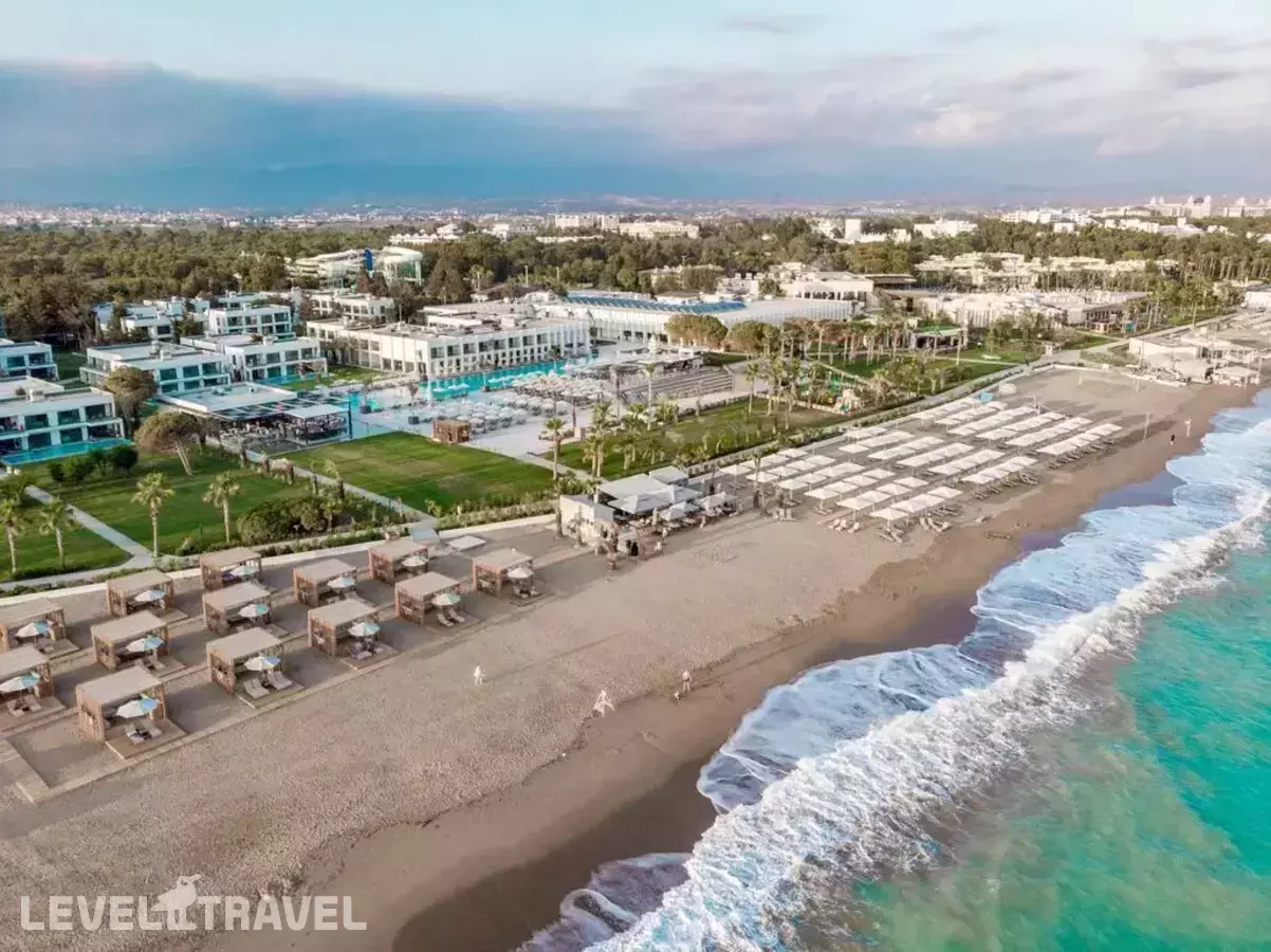 Paloma Finesse & Paloma Orenda