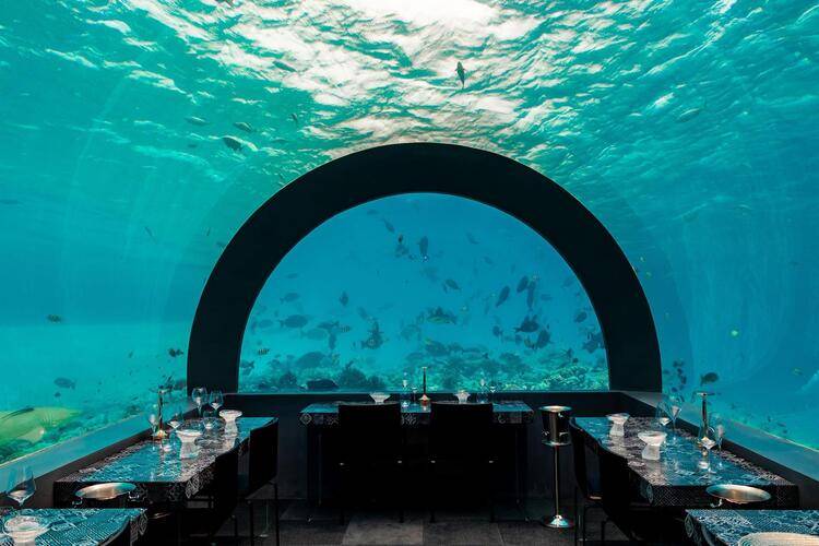 You & Me By Cocoon Maldives (Adults Only 16+)