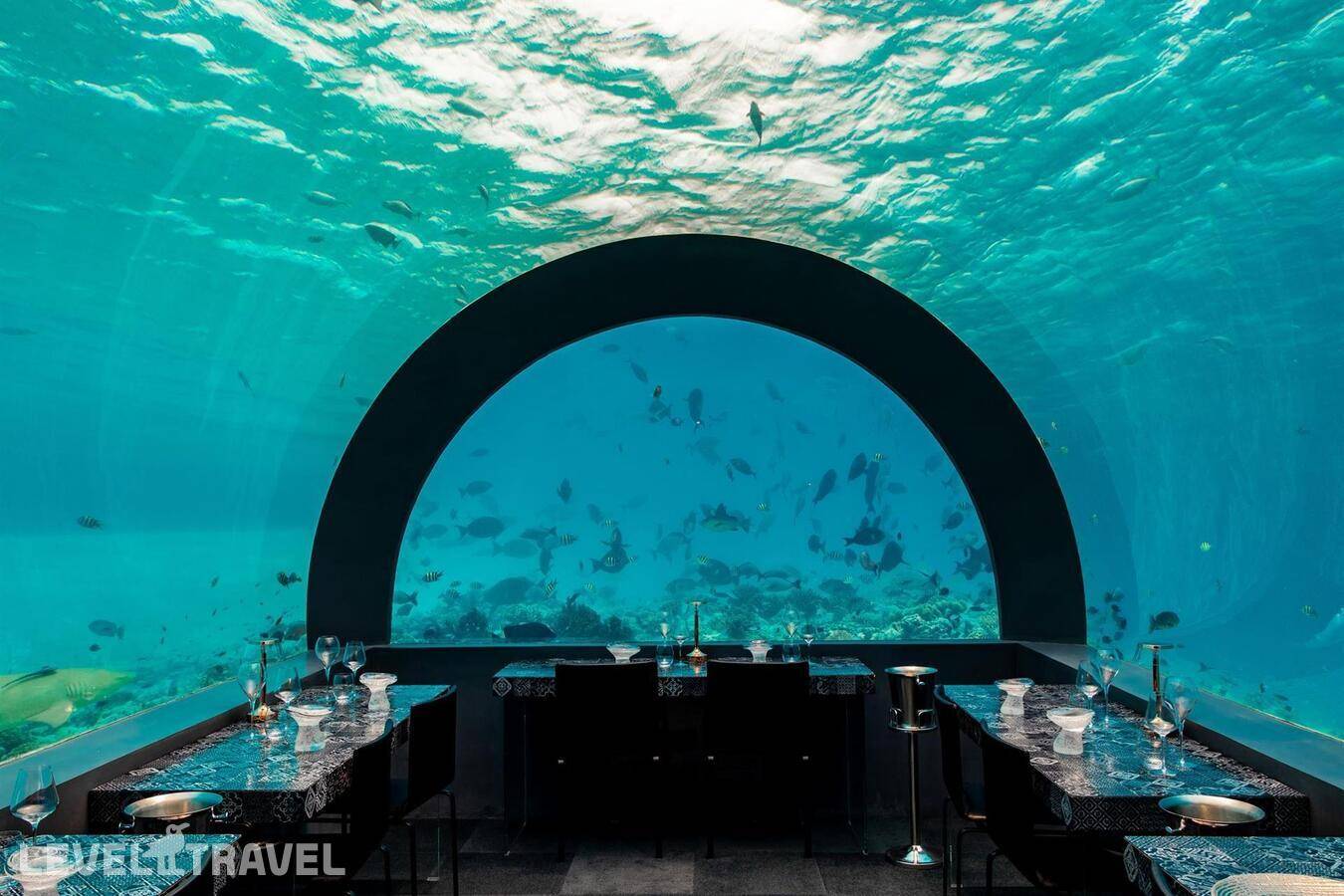 фотографии отеля You & Me By Cocoon Maldives (Adults Only 16+) в Мальдивы(Раа Атолл) - фото №12