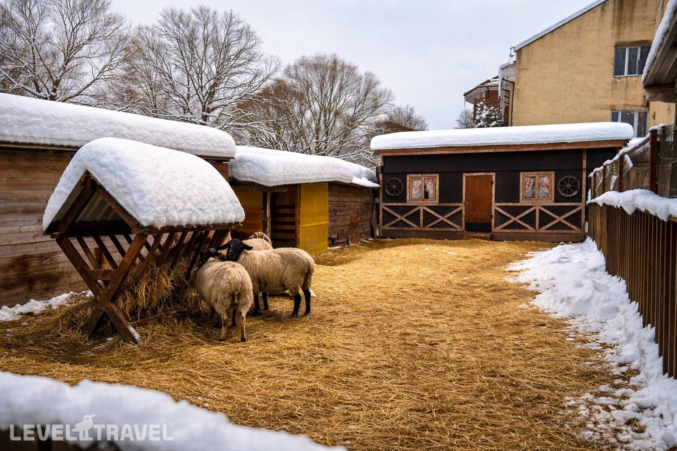 фотографии отеля Фореста Фестиваль Парк в Россия(Прохорово) - фото №51